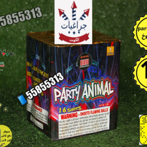 راجمة 16 صاروخ party