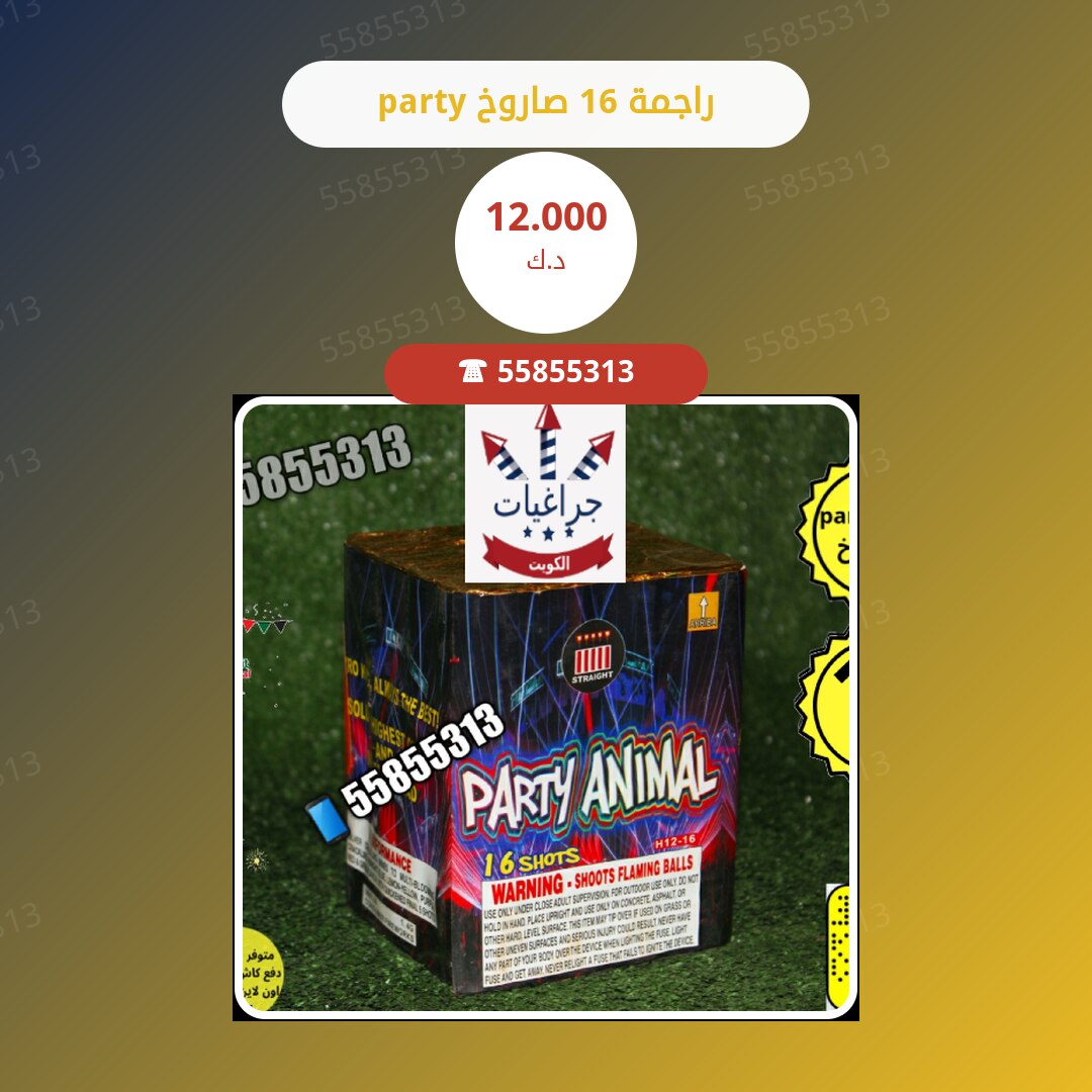دليل راجمة 16 صاروخ party — قبل ما تطلب اقرأ ده
