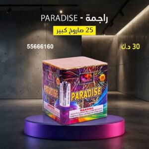 راجمة PARADISE في السالمية